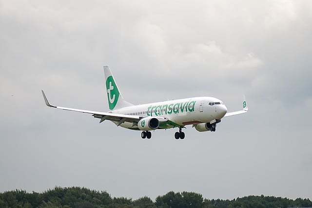 Misbruik zakdoek Calligrapher Vlucht volgen Transavia ✈️ Vliegtuig Volgen ✔️
